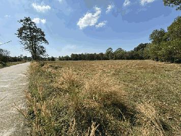 ขายที่ดิน 13 ไร่ 63 ตร.ว. บ้านนา นครนายก ถนนสุวรรณศร ยกแปลก หรือแบ่งก็ได้ โทร 089-7411750